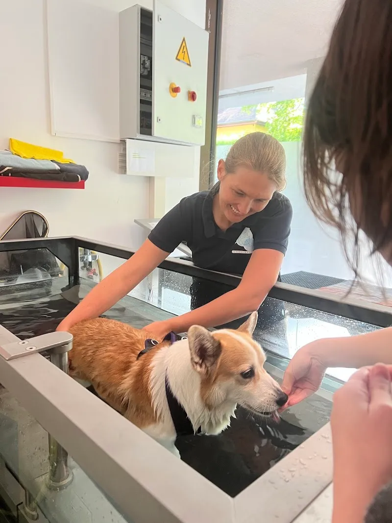 Physiothérapie & Hydrothérapie / Chiens, Chats et Chevaux - La Forme à 4 Pattes — Tierarzt in Genève, Genf. Bewertung 5.0/5.