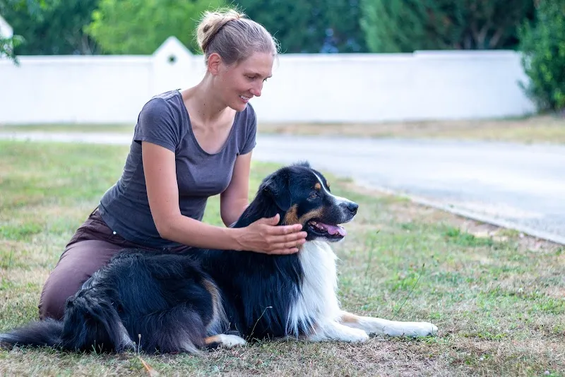 Physiothérapie & Hydrothérapie / Chiens, Chats et Chevaux - La Forme à 4 Pattes — Tierarzt, Genève, Genf. Foto 2