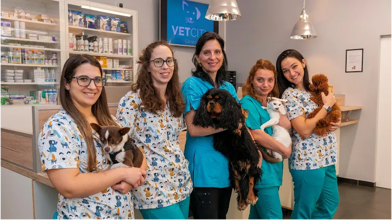 VETCITY - Cabinet vétérinaire Genève — Tierarzt in Genève, Genf. Bewertung 4.5/5.