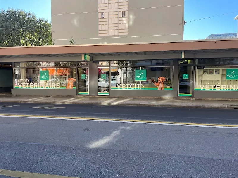VETCITY - Cabinet vétérinaire Genève — Tierarzt, Genève, Genf. Foto 2