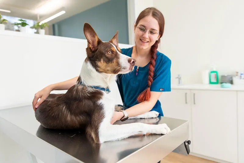 VetGenève - Clinique vétérinaire — Tierarzt, Genève, Genf. Foto 3