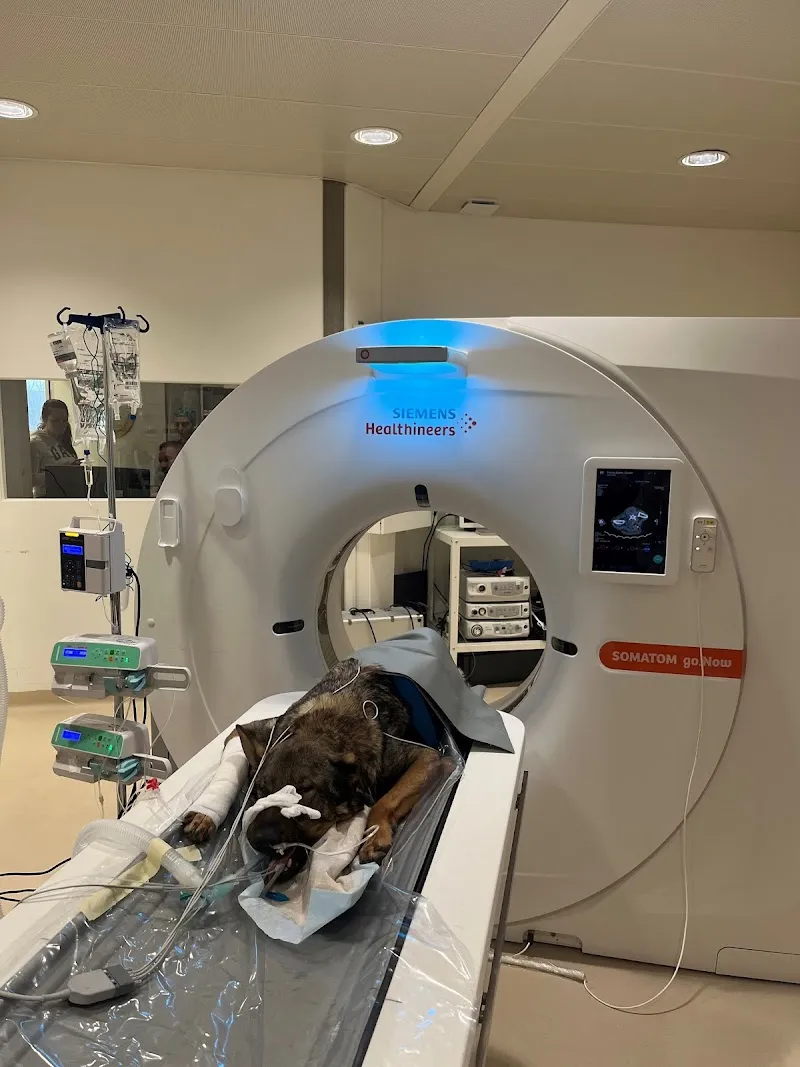 VetSpecialistes — Tierarzt in Le Grand-Saconnex, Genf. Bewertung 4.3/5.