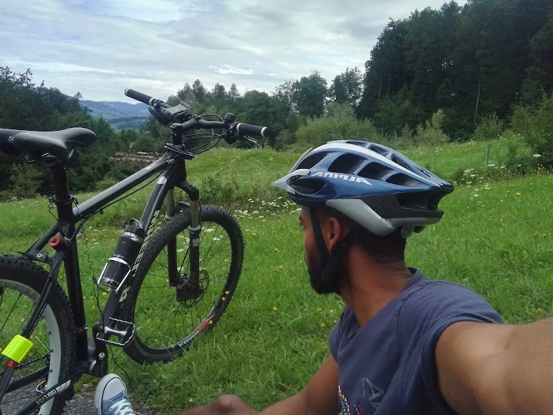 Hinder's DogCenter — Service animalier, Bilten, Glaris. Foto 2