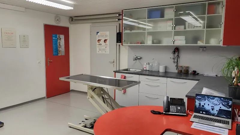 Kleintierpraxis Buchholz GmbH — Vétérinaire, Glarus, Glaris. Foto 3