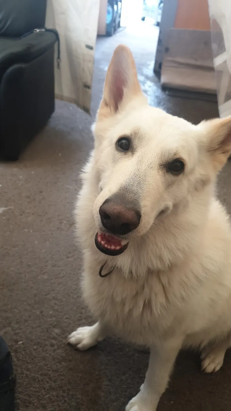 Tierarztpraxis Landerer — Tierarzt in Näfels, Glarus. Bewertung 4.7/5.