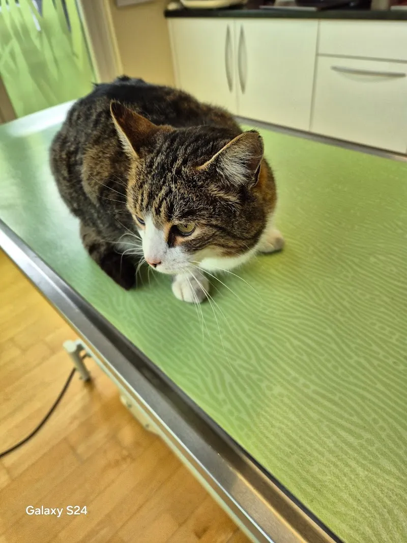 Tierarztpraxis Ritzberger — Tierarzt in Reichenburg, Schwyz. Bewertung 4.8/5.