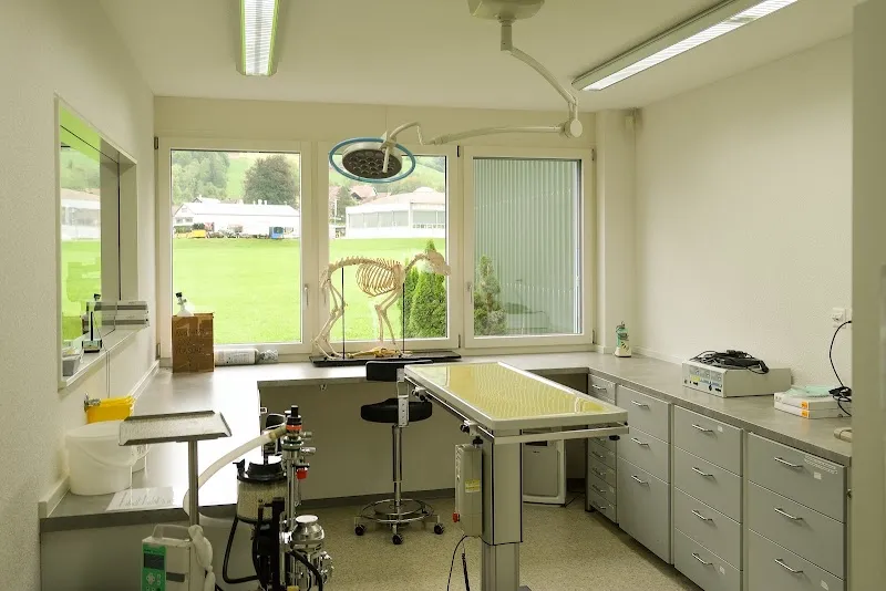 VetTrust Tierklinik Nesslau — Tierarzt, Nesslau, St. Gallen. Foto 2