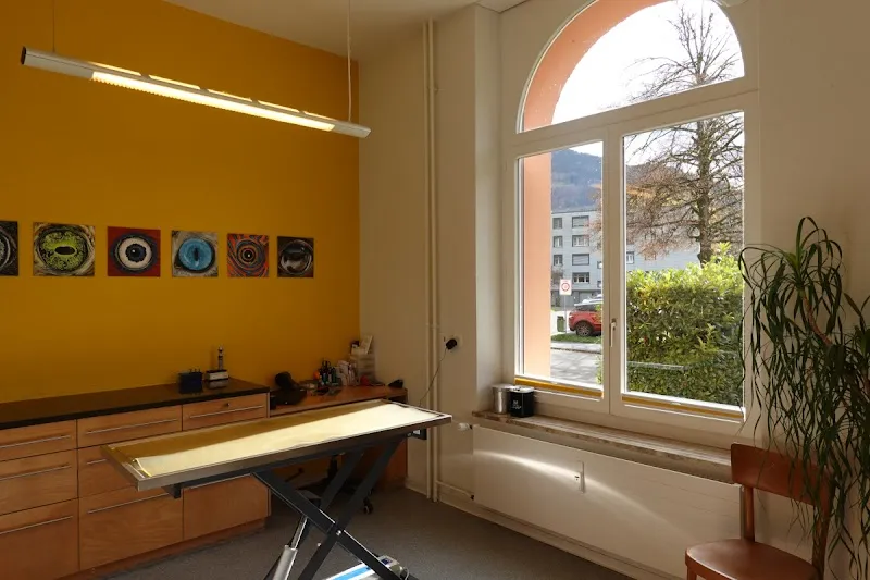 aniVETica AG — Tierarzt, Näfels, Glarus. Foto 2