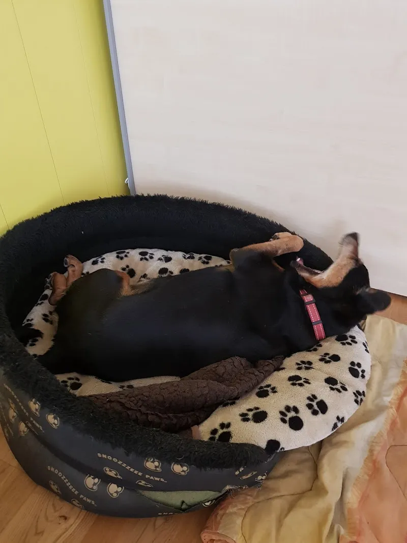 ANIMA' Veterinari Tierarztpraxis — Vétérinaire, Ilanz, Grisons. Foto 2