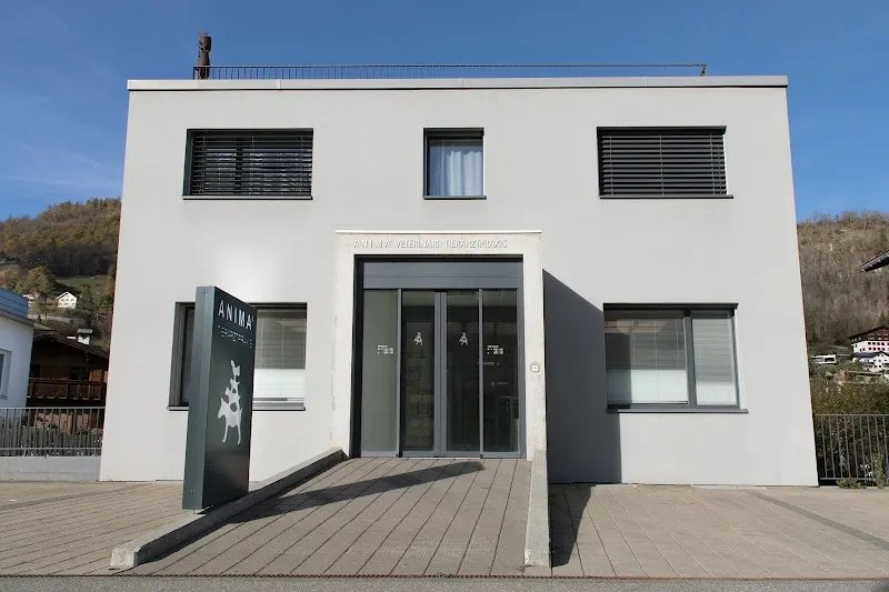 ANIMA' Veterinari Tierarztpraxis — Vétérinaire, Ilanz, Grisons. Foto 3