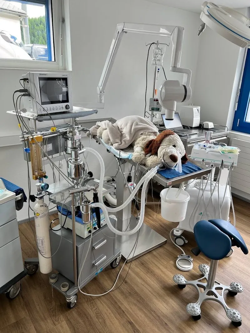 Clinica Alpina — Tierarzt in Celerina/Schlarigna, Graubünden. Bewertung 4.8/5.