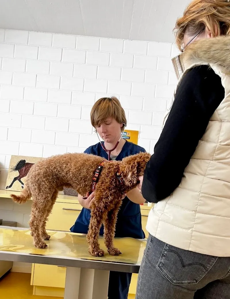 Clinica Alpina Tiermedizinisches Zentrum — Tierarzt in Scuol, Graubünden. Bewertung 4.9/5.