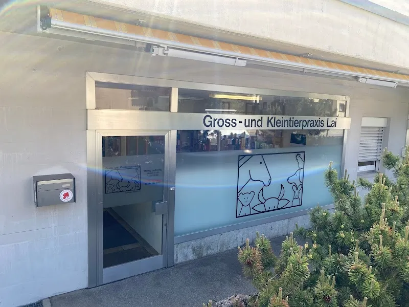 Gross- und Kleintierpraxis Lai GmbH — Tierarzt in Lenzerheide, Graubünden. Bewertung 4.7/5.