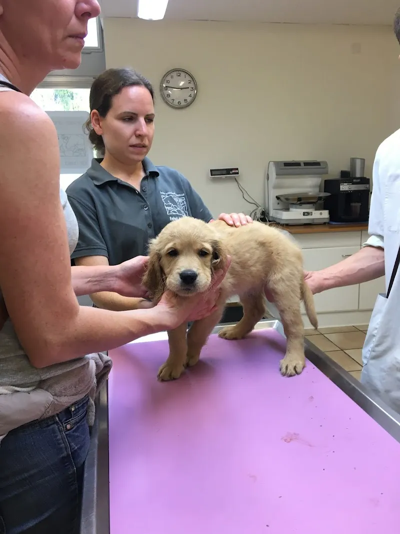 Gross- und Kleintierpraxis Lai GmbH — Vétérinaire, Lenzerheide, Grisons. Foto 2