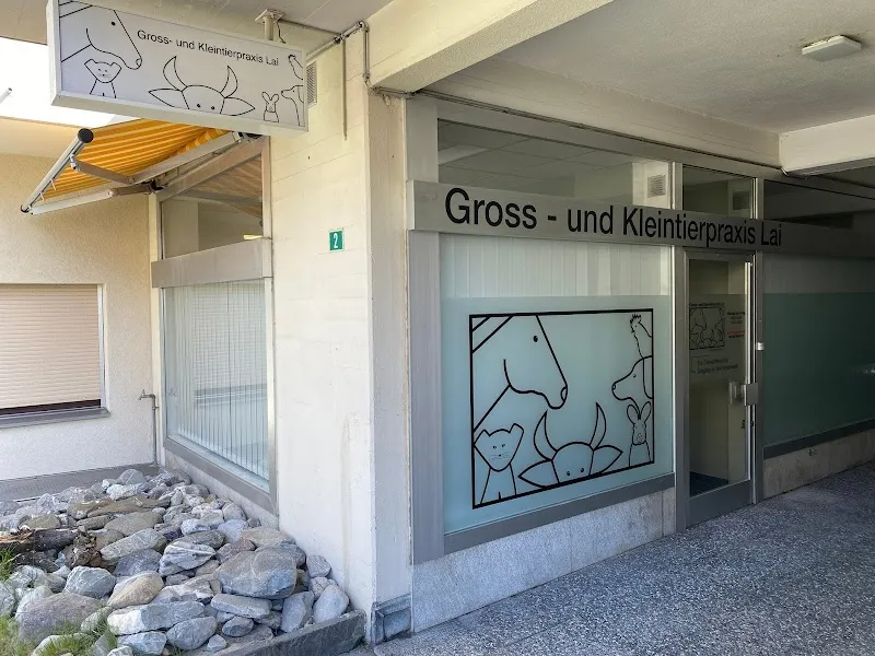 Gross- und Kleintierpraxis Lai GmbH — Vétérinaire, Lenzerheide, Grisons. Foto 3