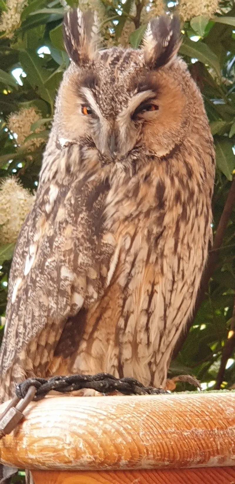 Kleintier- und Vogelpraxis — Tierarzt in Baden, Aargau. Bewertung 4.7/5.