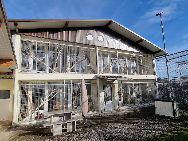 Tier-Resort Schachen AG — Katzenpension in Malters, Luzern. Bewertung 4.8/5.