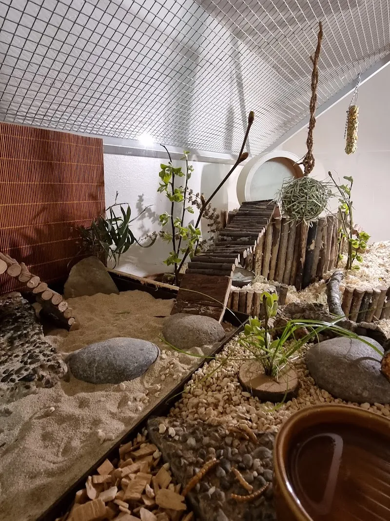 Tier-Resort Schachen AG — Katzenpension, Malters, Luzern. Foto 2