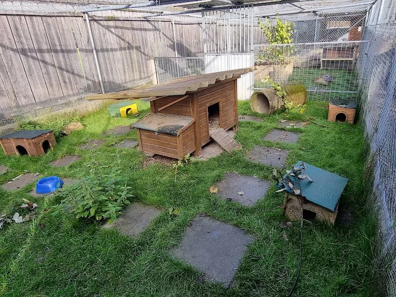 Tier-Resort Schachen AG — Katzenpension, Malters, Luzern. Foto 3