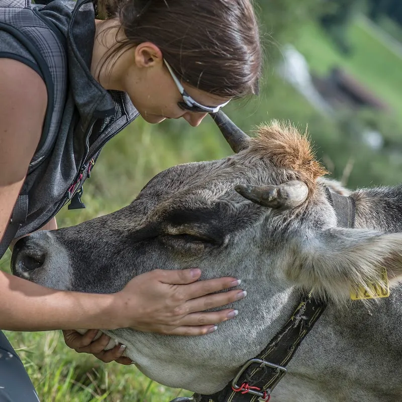 Praxis à Wengen Tierhomöopathie — Tierdienst, Chur, Graubünden. Foto 2