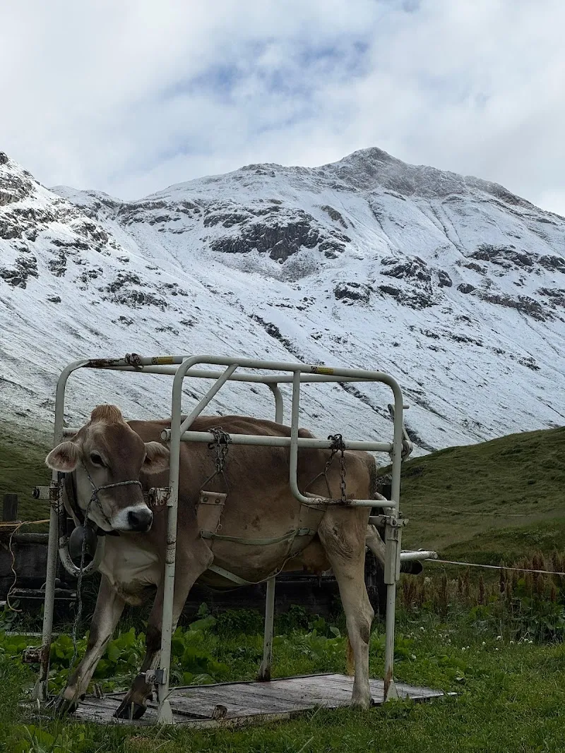 Studio Veterinario Valposchiavo — Vétérinaire, Poschiavo, Grisons. Foto 2