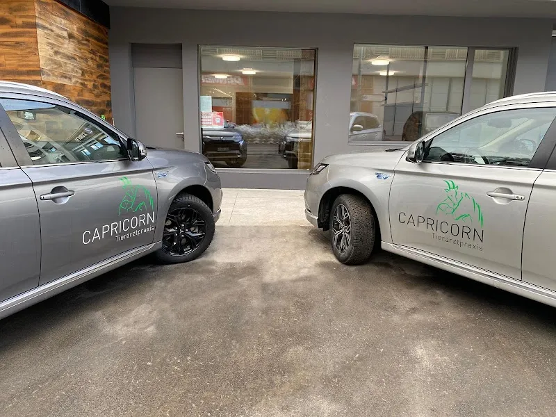 Tierarztpraxis Capricorn AG — Tierarzt, Ilanz, Graubünden. Foto 3