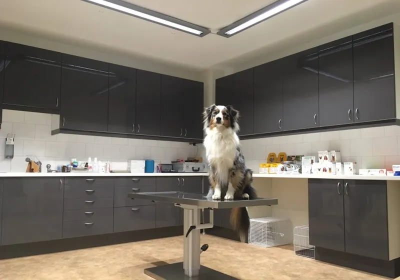 Tierarztpraxis Handke + Frei — Vétérinaire, Landquart, Grisons. Foto 3