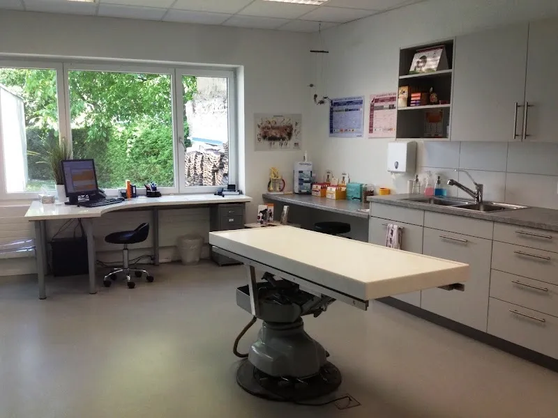 Tierarztpraxis Theus — Vétérinaire, Domat/Ems, Grisons. Foto 2