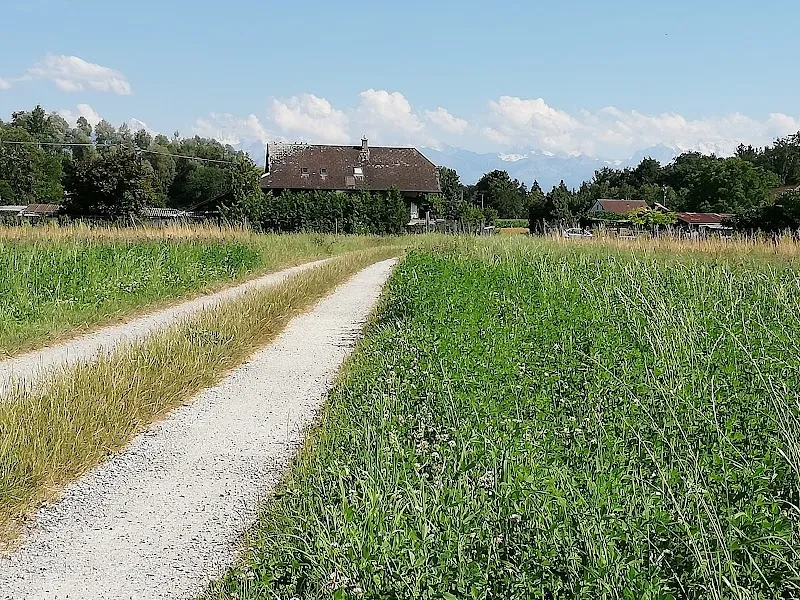 Tierferienheim Fahrhubel GmbH — Katzenpension in Belp, Bern. Bewertung 4.5/5.