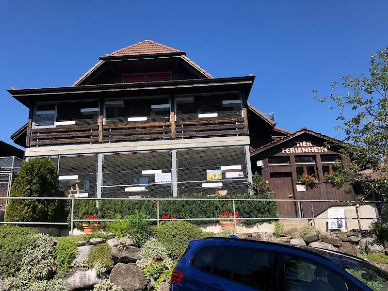Tierferienheim Fahrhubel GmbH — Pension pour chats, Belp, Berne. Foto 2