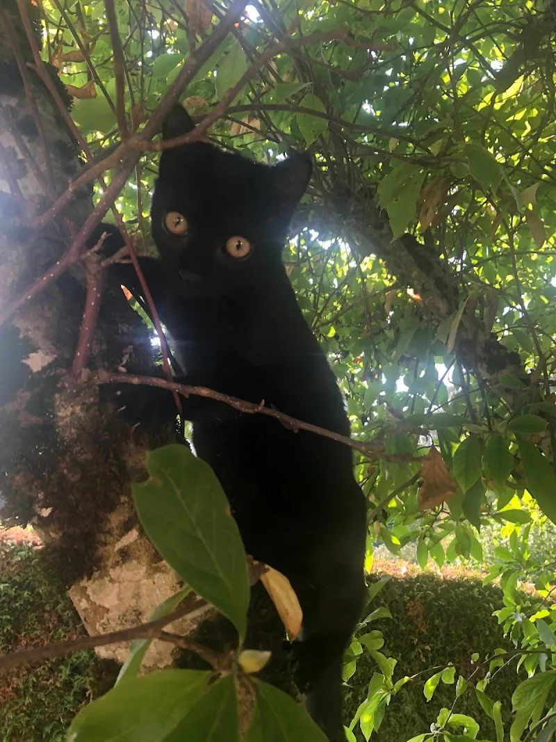 Emilienne Moeckli — Tierarzt in Porrentruy, Jura. Bewertung 4.8/5.