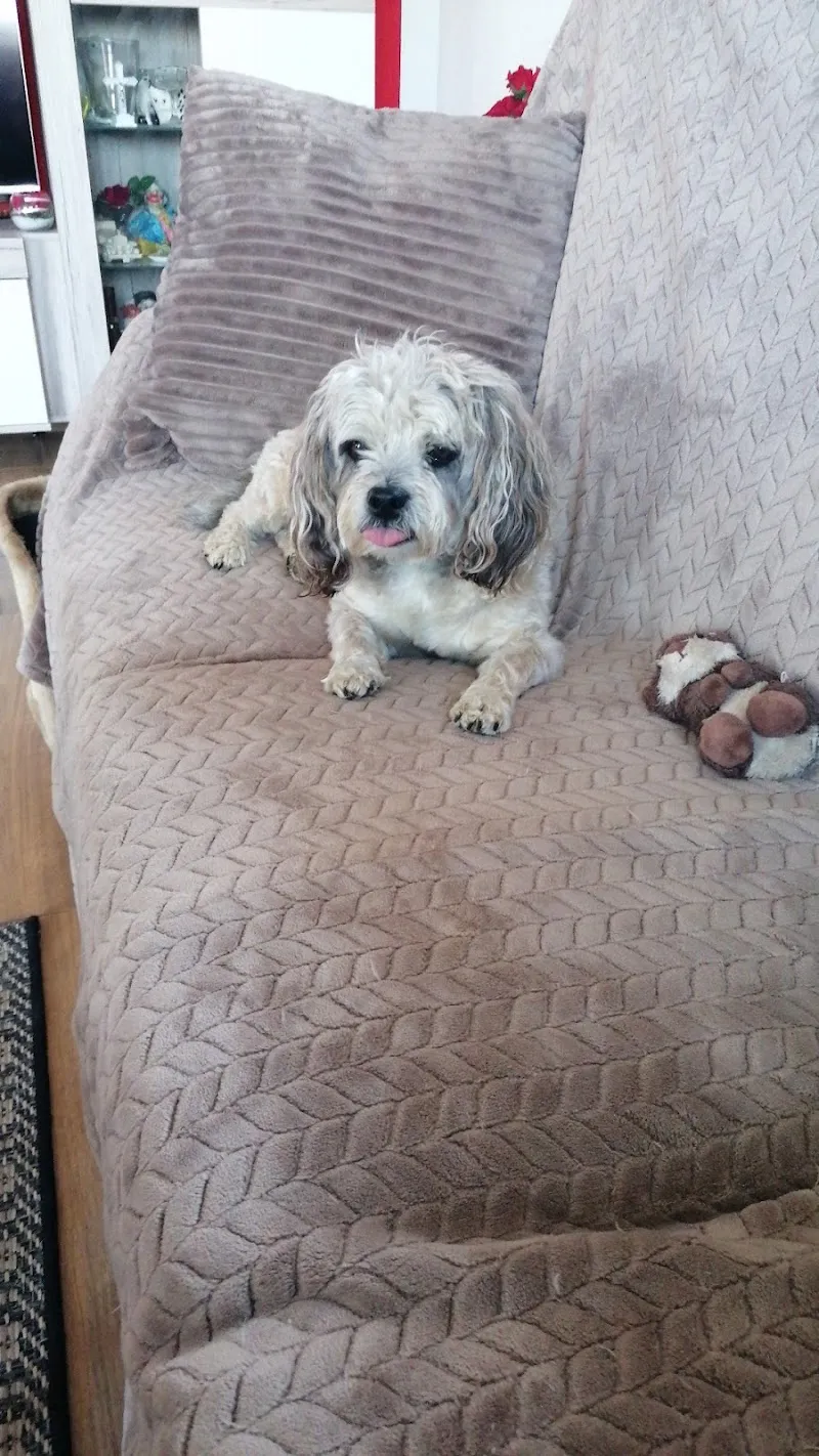 Emilienne Moeckli — Vétérinaire, Porrentruy, Jura. Foto 3