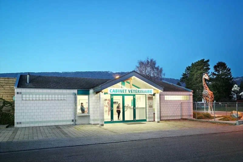 Mr. Dr. Alain Berger Vétérinaire — Vétérinaire, Delémont, Jura. Foto 2