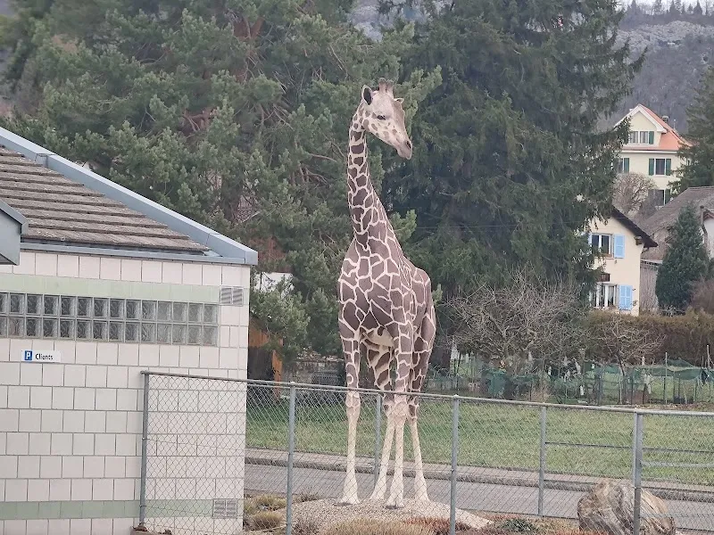 Mr. Dr. Alain Berger Vétérinaire — Vétérinaire, Delémont, Jura. Foto 3
