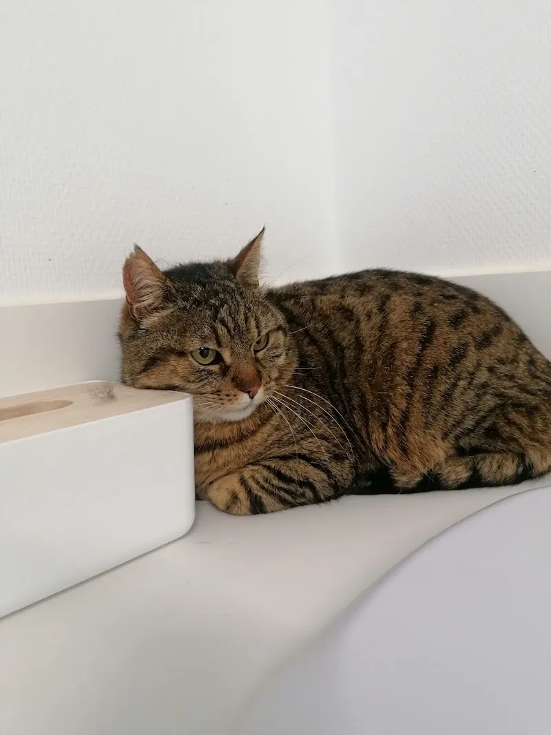 Vétérinaires Mont-Terri Sàrl — Vétérinaire, Courgenay, Jura. Foto 3