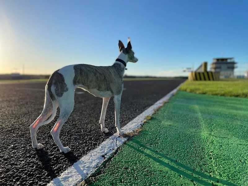 AniCura AOI Center AG — Tierarzt in Hünenberg, Zug. Bewertung 4.6/5.