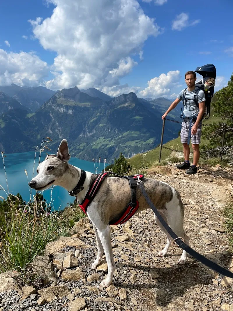 AniCura AOI Center AG — Vétérinaire, Hünenberg, Zoug. Foto 3