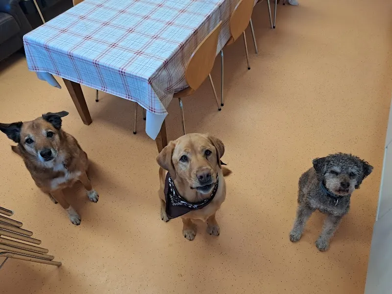 Anicura Kleintierpraxis Sursee AG — Vétérinaire, Sursee, Lucerne. Foto 3