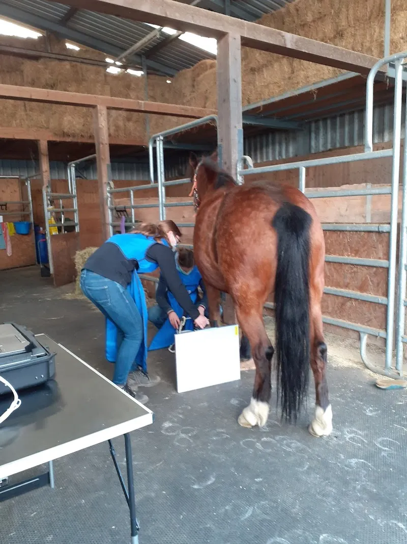 Buchertierarzt — Tierarzt, Hitzkirch, Luzern. Foto 2