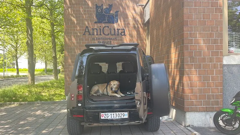 Central Kleintierpraxis AG — Tierarzt in Sursee, Luzern. Bewertung 4.7/5.