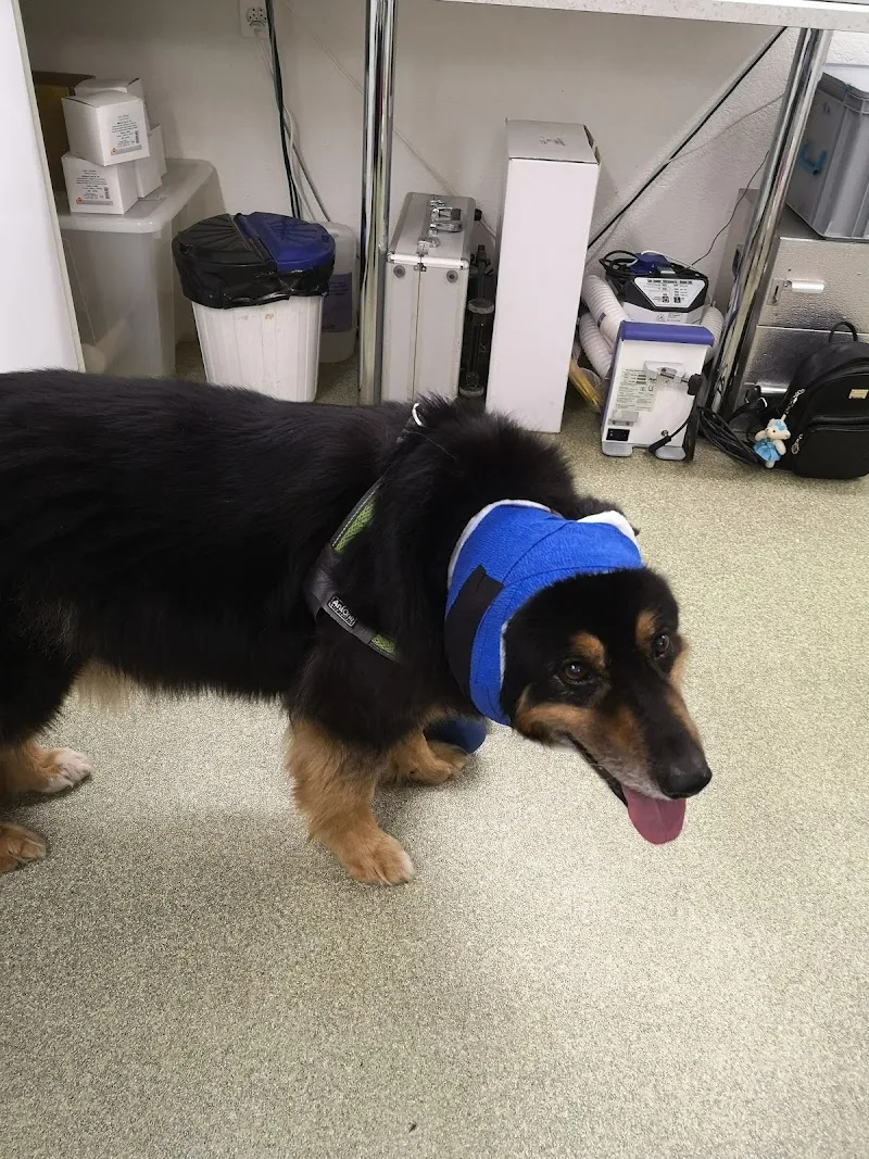 Dres.med.vet. Gunter u. Fabienne Wiese — Tierarzt in Malters, Luzern. Bewertung 5.0/5.