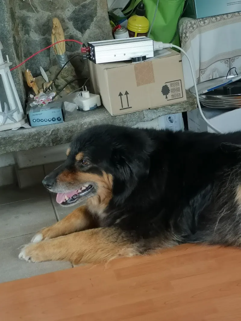 Dres.med.vet. Gunter u. Fabienne Wiese — Veterinarian, Malters, Lucerne. Foto 2