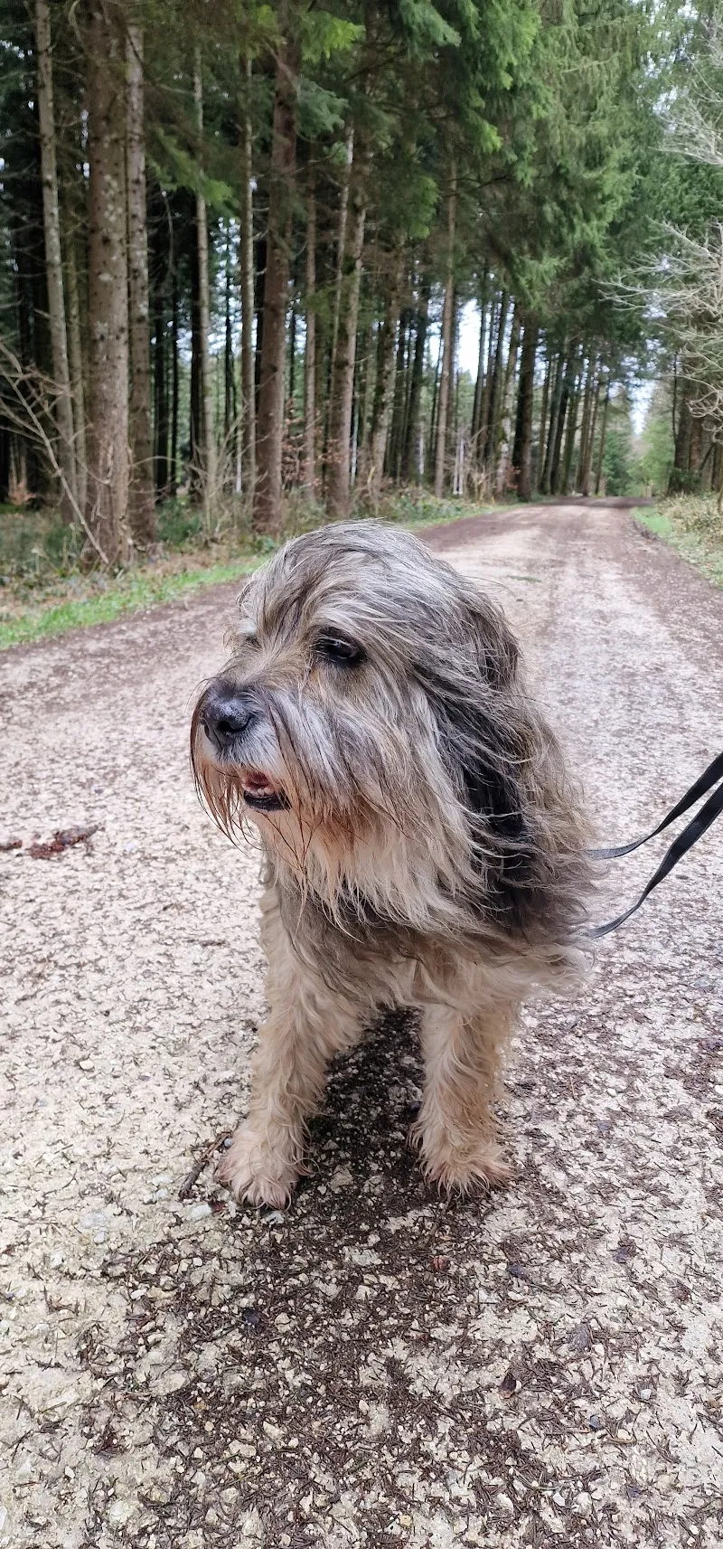 Kleintierpraxis Dr. S. Küng AG — Tierarzt in Beromünster, Luzern. Bewertung 4.8/5.