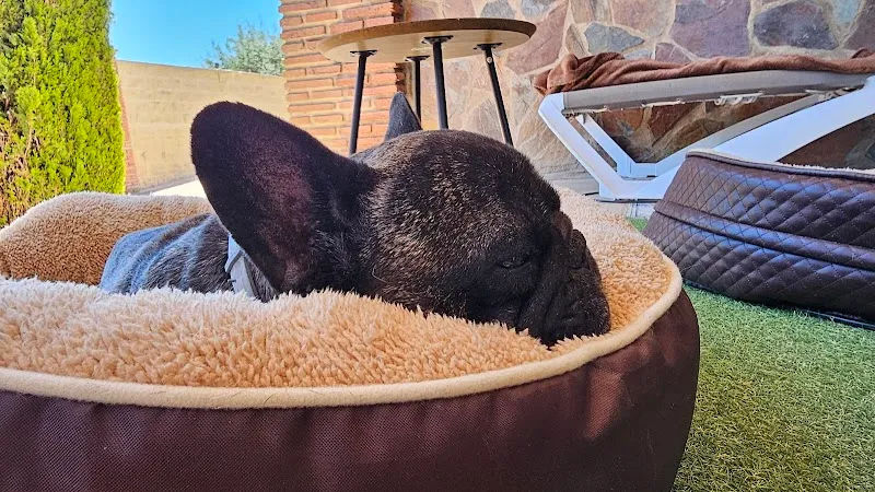 Kleintierpraxis Dr. S. Küng AG — Veterinarian, Beromünster, Lucerne. Foto 2