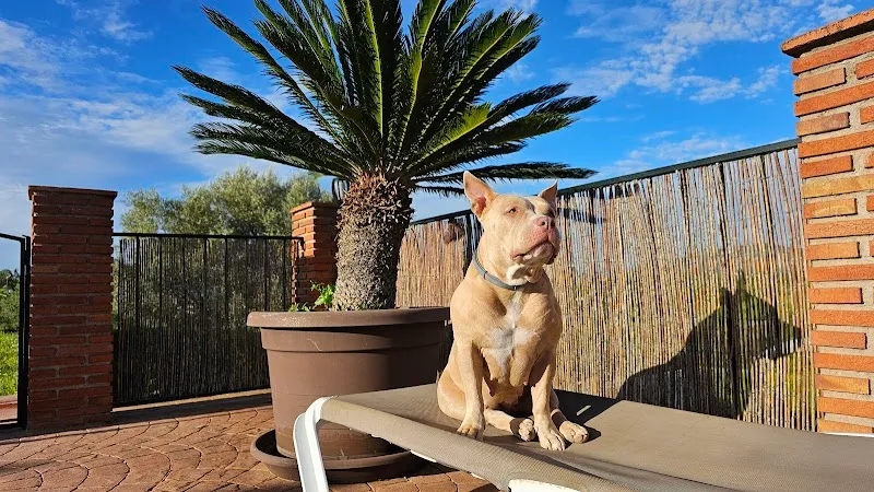 Kleintierpraxis Dr. S. Küng AG — Veterinarian, Beromünster, Lucerne. Foto 3
