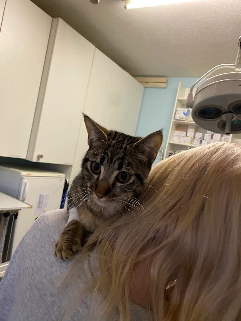 Kleintierpraxis Gerliswil — Vétérinaire, Emmen, Lucerne. Foto 3