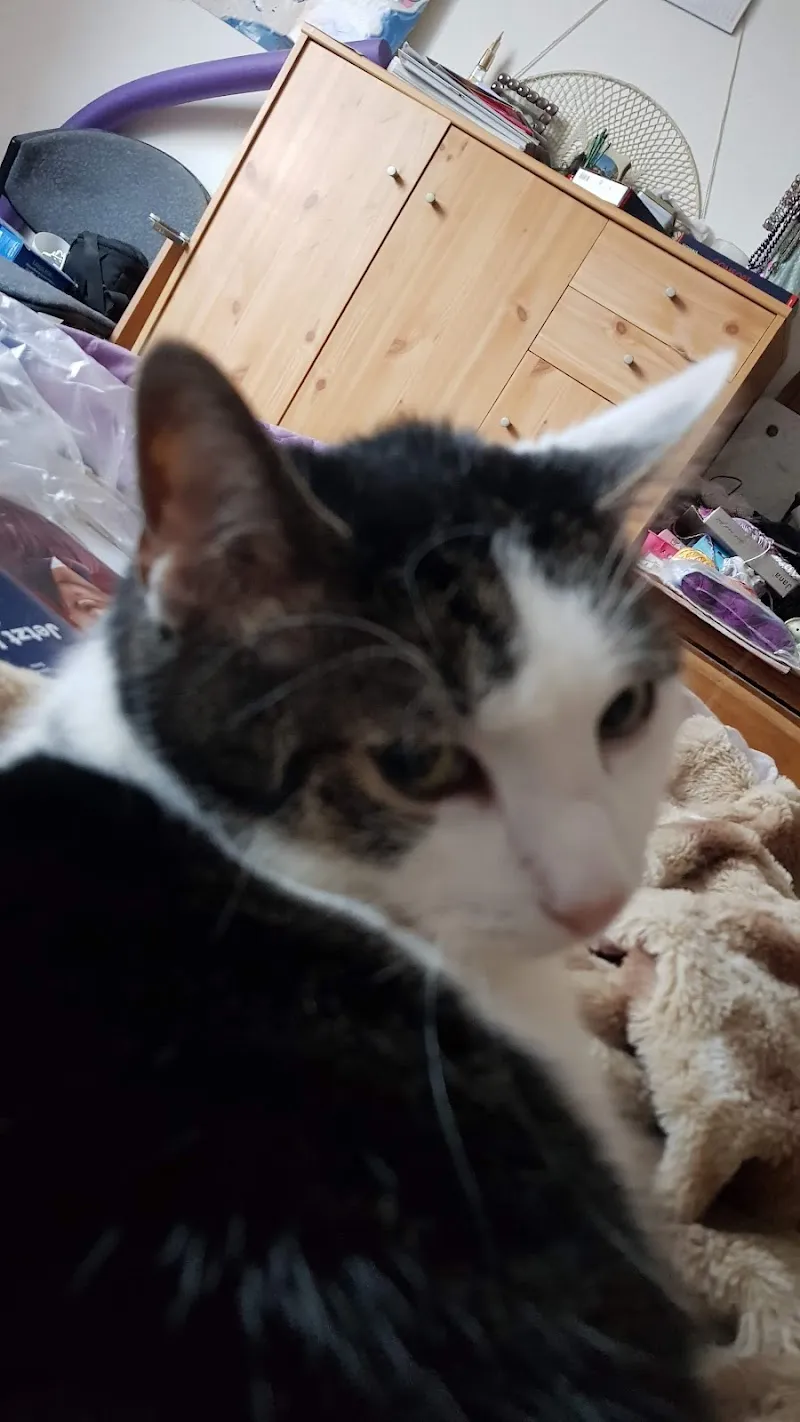 Kleintierpraxis Horw — Veterinario, Horw, Lucerna. Foto 2