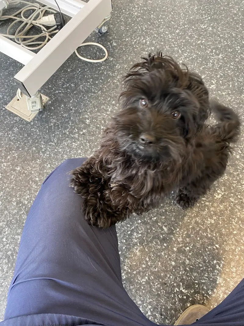 Kleintierpraxis Schachenweid AG — Tierarzt, Ebikon, Luzern. Foto 3