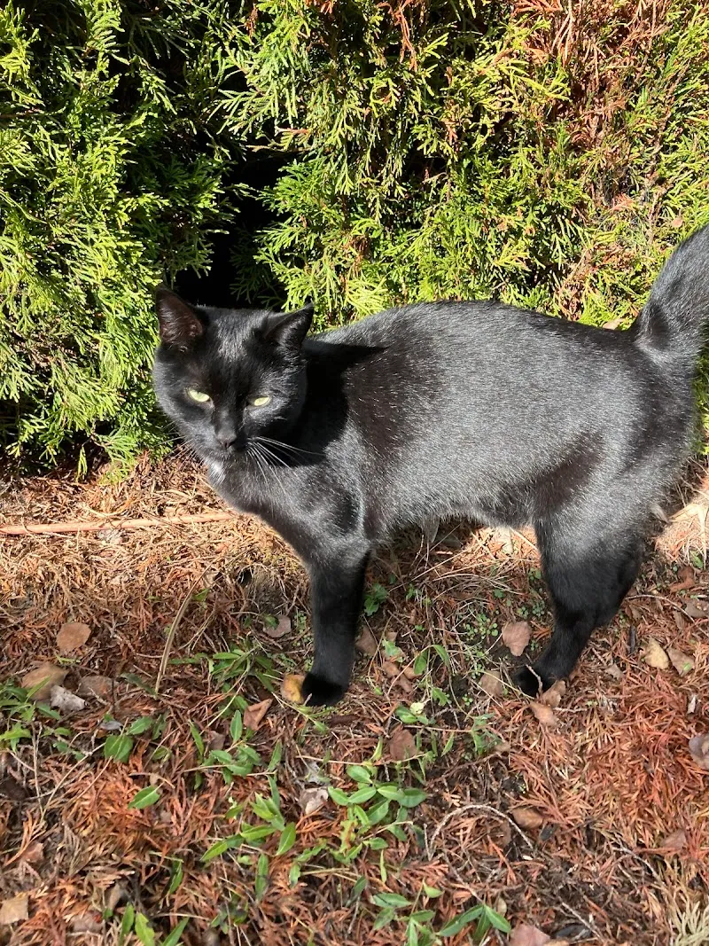 Kleintierpraxis Schötz AG — Tierarzt in Schötz, Luzern. Bewertung 5.0/5.
