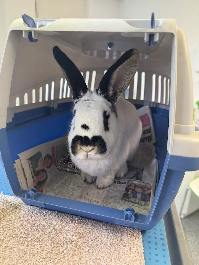 Kleintierpraxis Schötz AG — Tierarzt, Schötz, Luzern. Foto 2